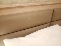 Barin Hotel-官方