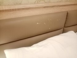 Barin Hotel主图