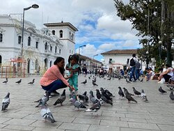 Parque Caldas-Popayan必去景点