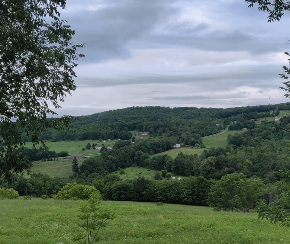 Countryside Inn主图