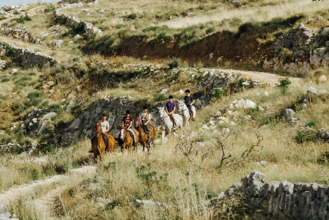 Horseback Riding Podstrana-斯普利特必去景点