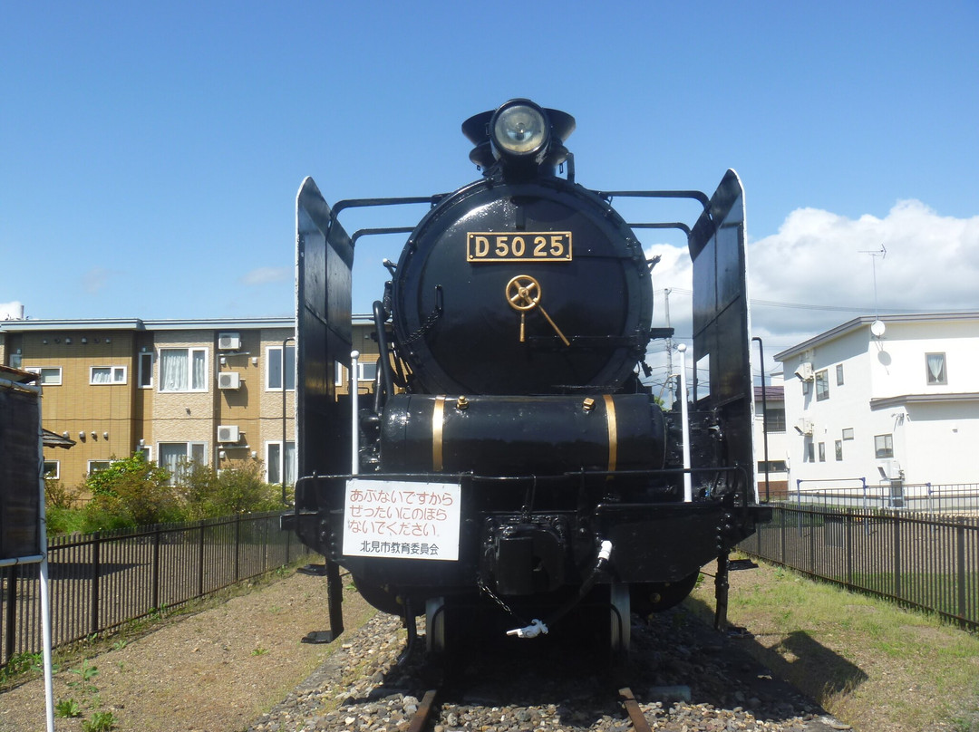 Steam Locomotive D50 No. 25