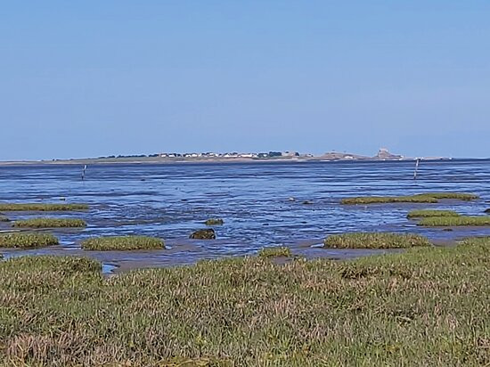 Fenham Farm Coastal Retreat主图