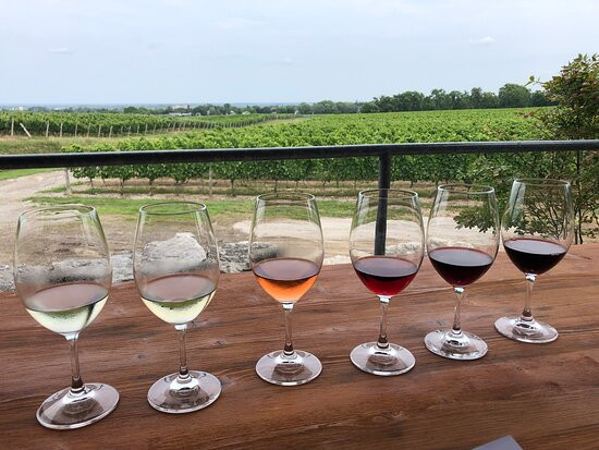Thirty Bench Wine Makers景点图片