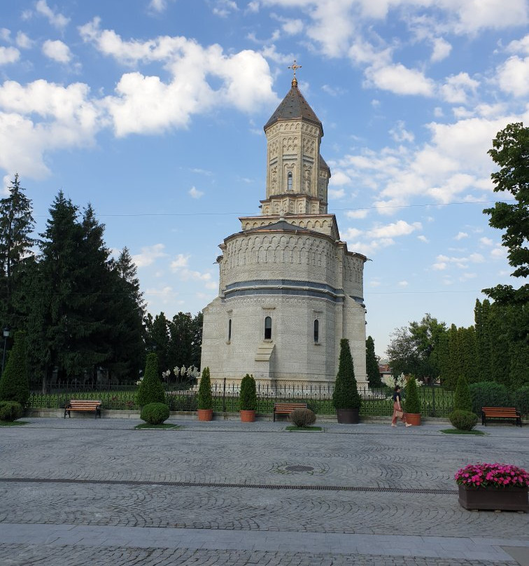 Mănăstirea Sfinții Trei Ierarhi景点图片