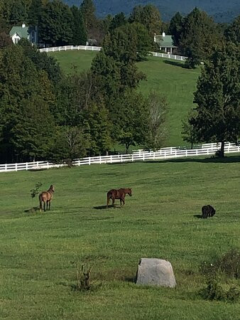 The Red Horse Inn主图