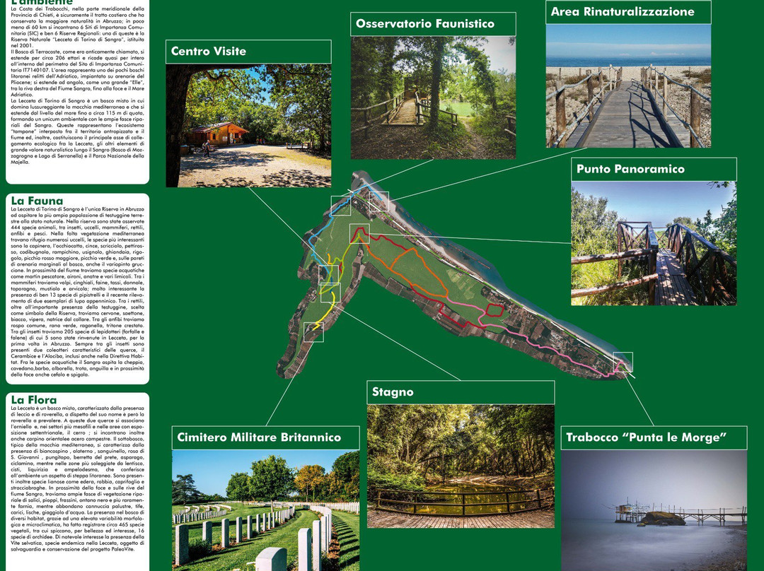 Riserva Naturale Regionale Lecceta Di Torino Di Sangro景点图片