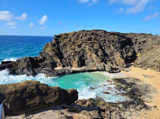 North Shore Beach Bus-火奴鲁鲁必去景点