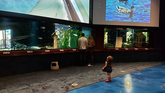 Aquatarium at Tall Ships Landing景点图片