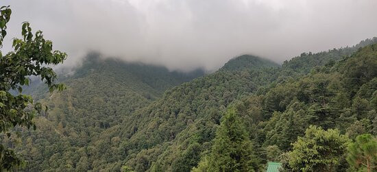 Zostel Plus Nainital (Naina Range)主图