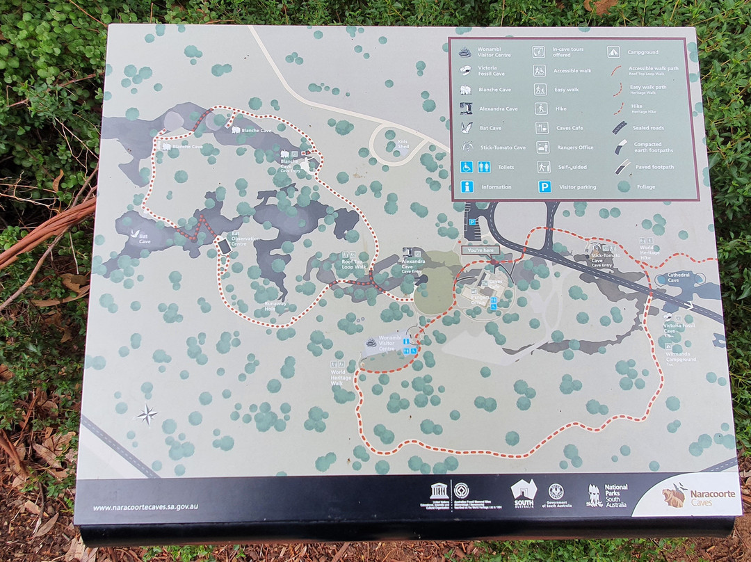 Naracoorte Visitor Information Centre-Naracoorte必去景点