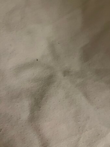 TownePlace Suites by Marriott Columbus Airport Gahanna主图