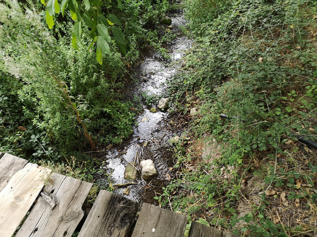 Molino del Machero