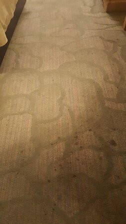 埃尔多拉多旅馆主图