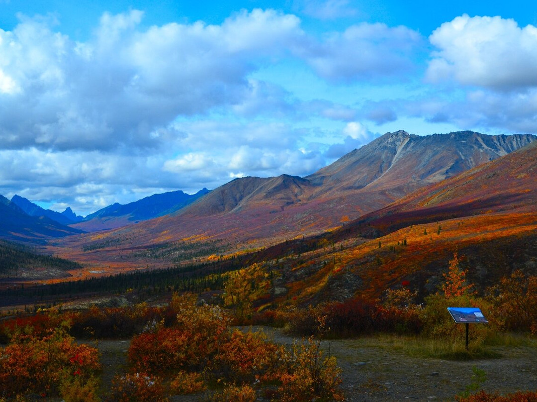 Tombstone Territorial Park-道森市必去景点