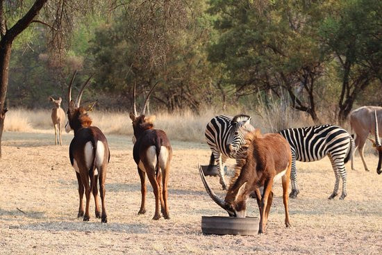 Schamach Guest Farm主图