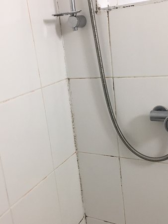 新茵酒店-官方
