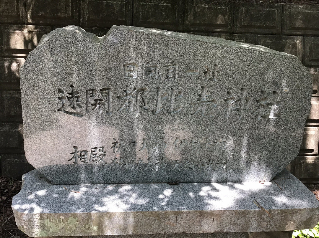 Hayaakitsuhime Shrine景点图片