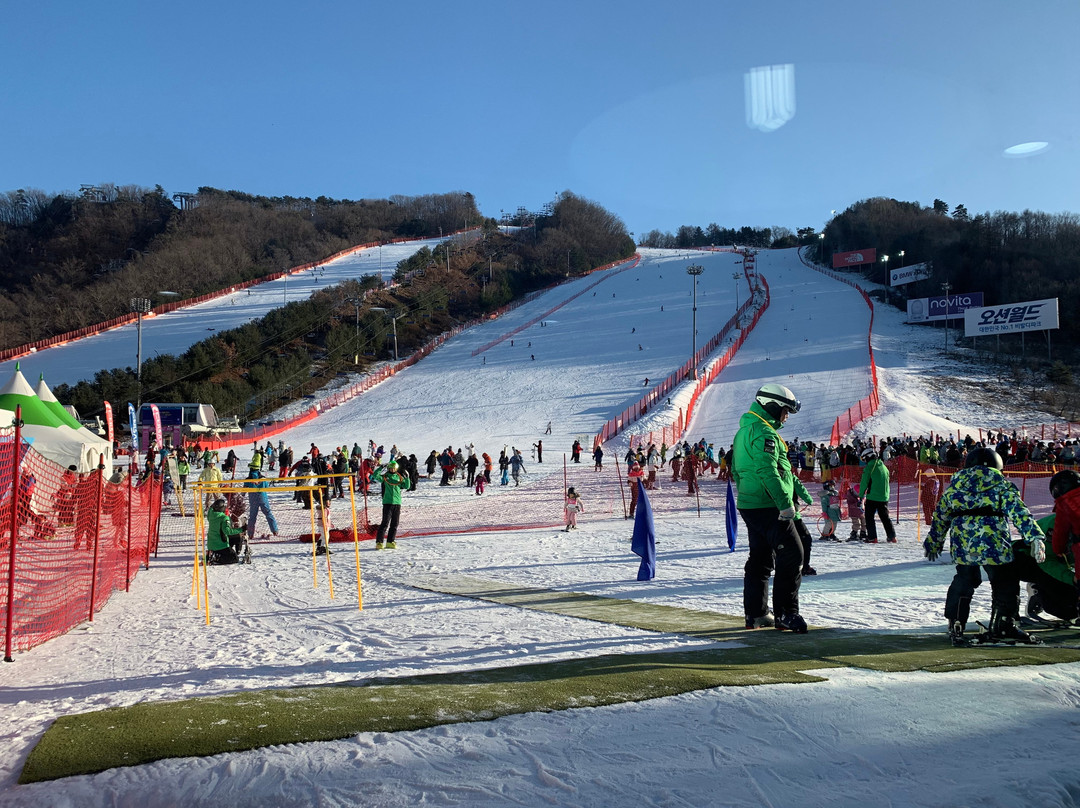 Daemyung Vivaldi Park Bowlingjang-洪川郡必去景点
