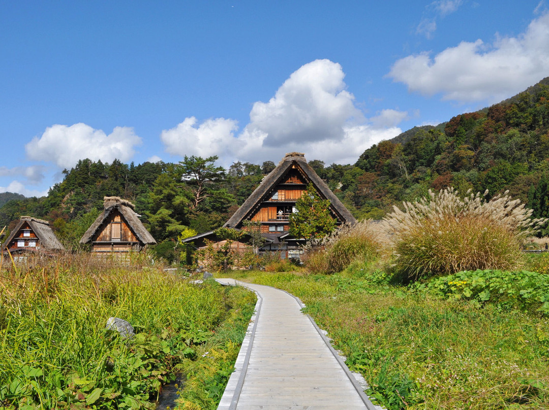 白川村旅游景点-Wada House