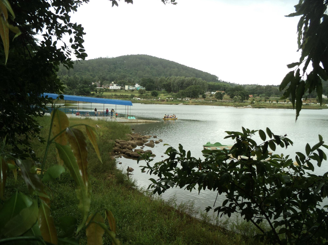 Punganoor Lake景点图片