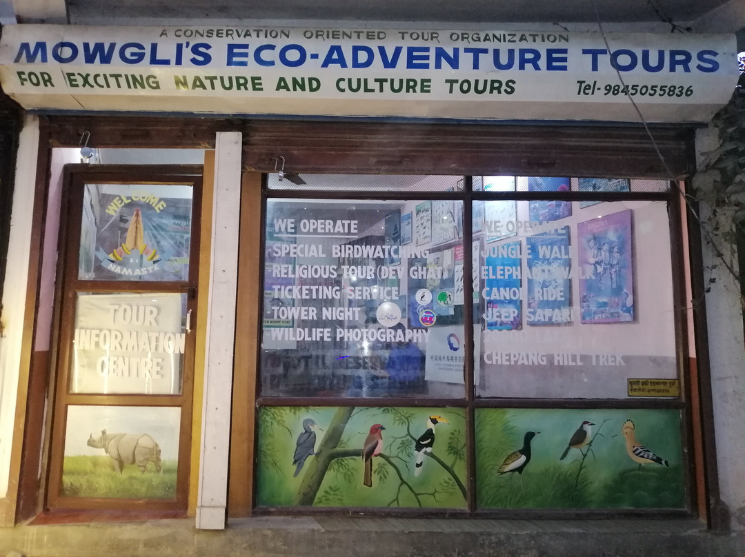 Mowgli's Eco Adventure-苏拉哈必去景点