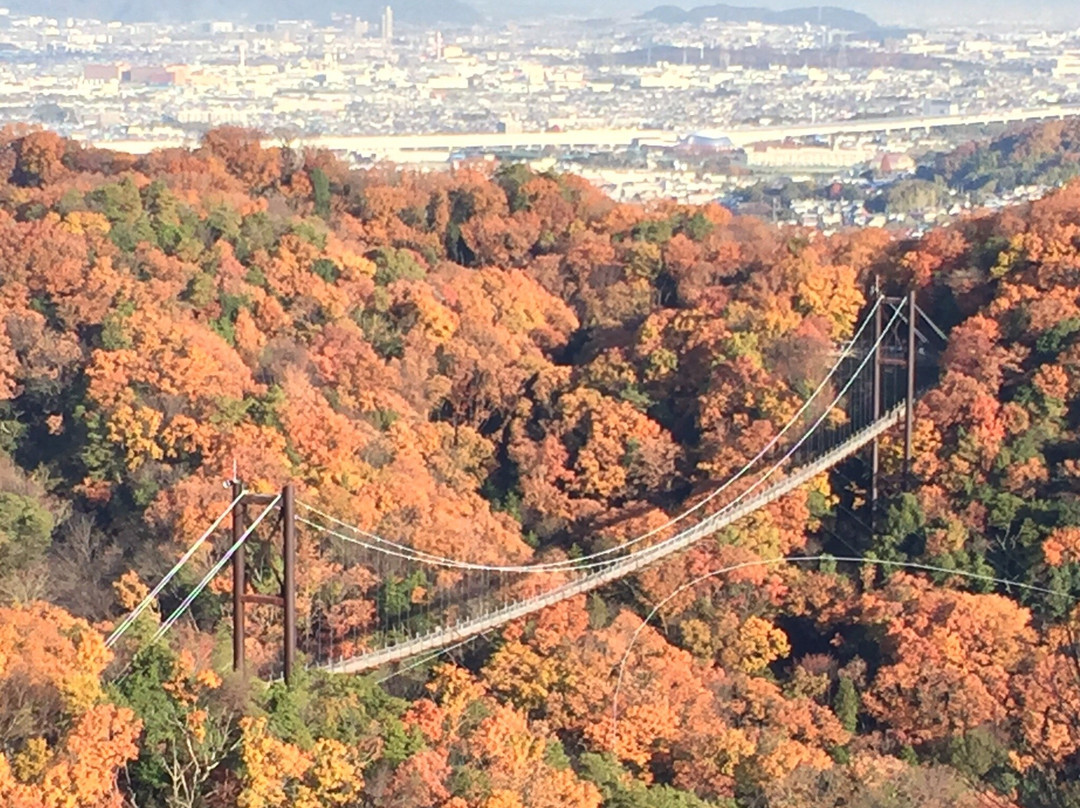 交野市旅游攻略图片