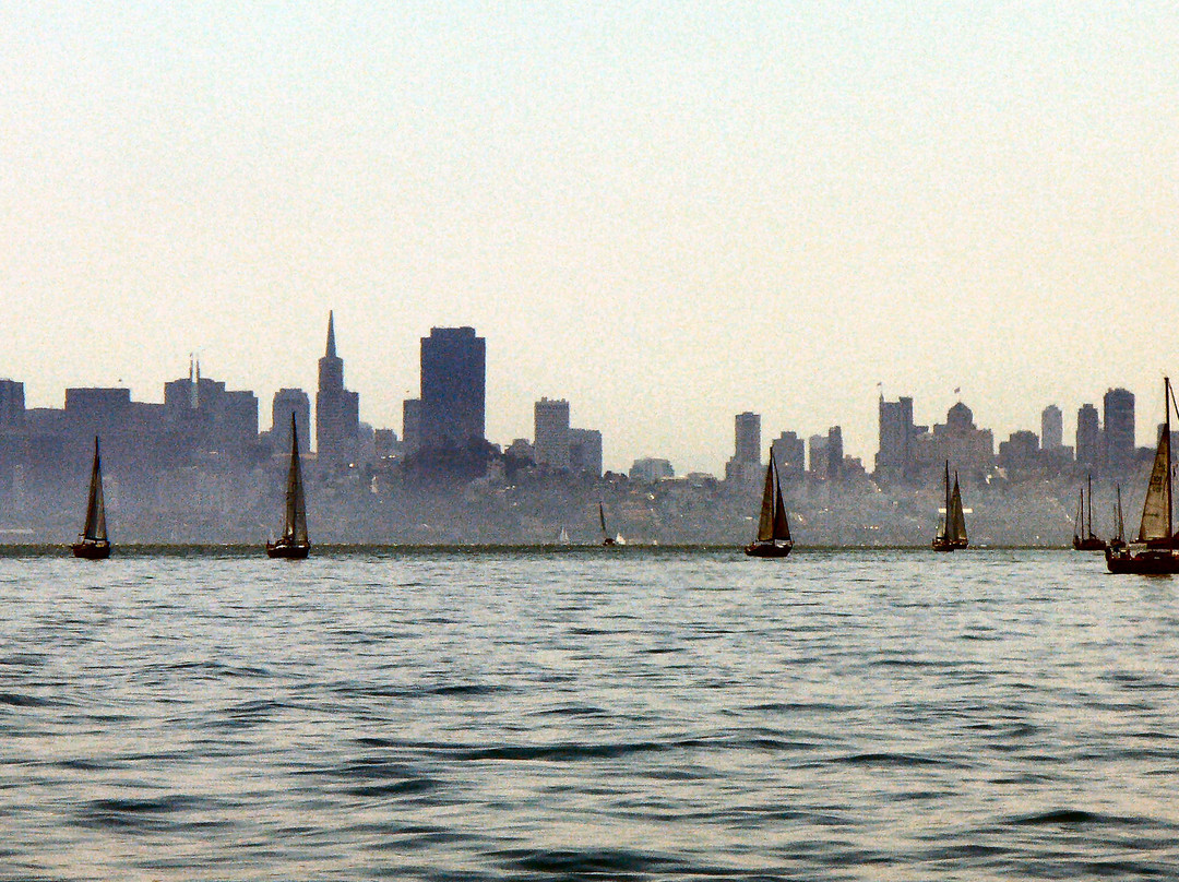 San Francisco Bay Sailing景点图片