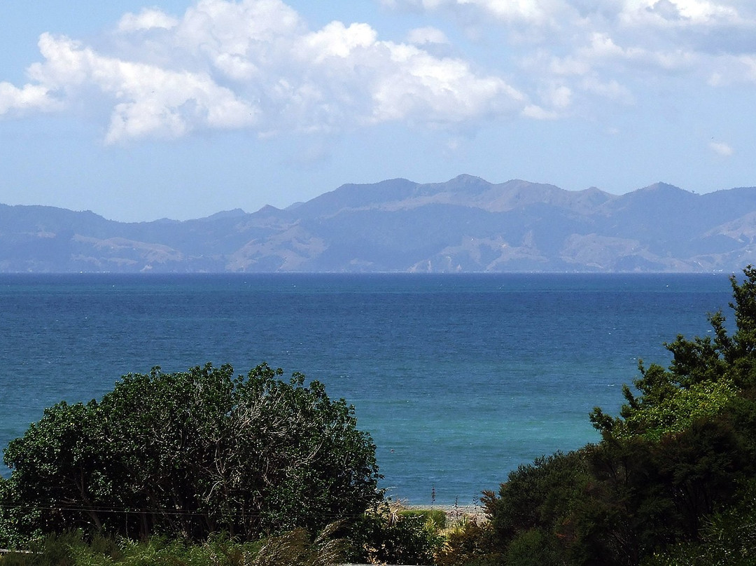 Waharau Regional Park景点图片