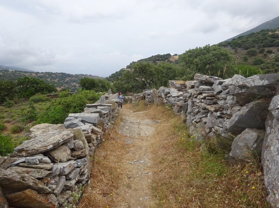 Aladino旅游攻略图片
