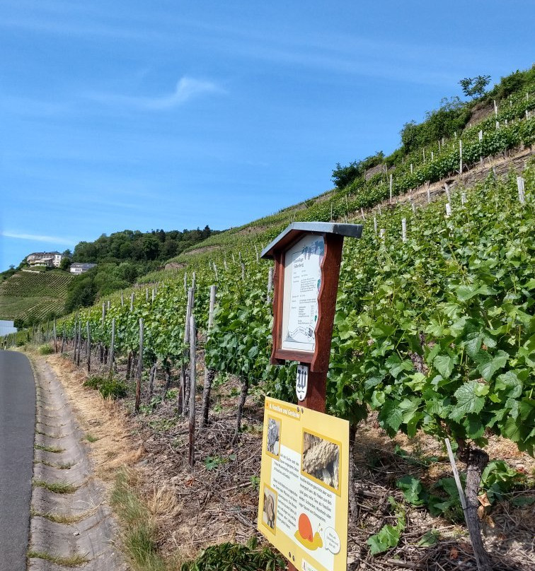 Hotel Rodderhof主图