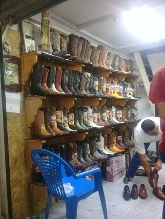 Zona Piel-利昂必去景点