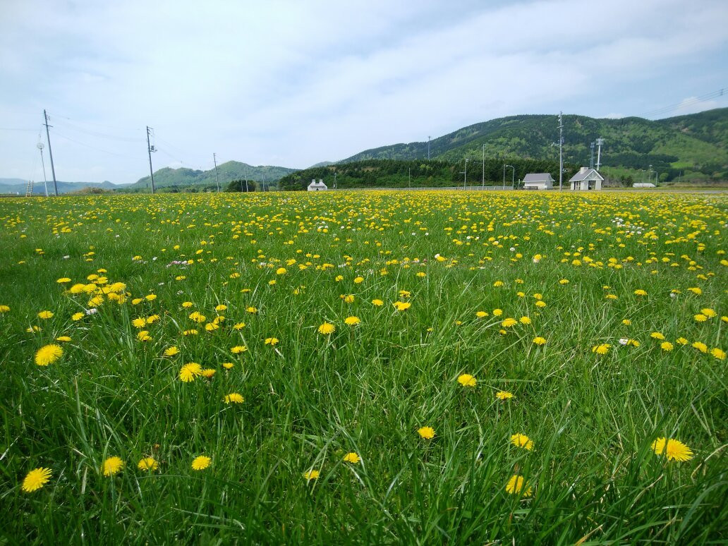枝幸町旅游攻略图片