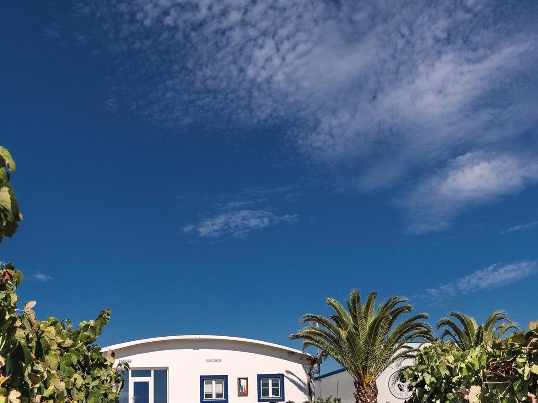 Quinta da Plansel景点图片