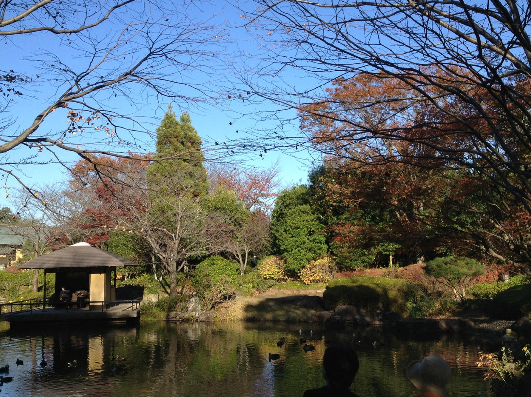 Chiba Kashiwanoha Park景点图片