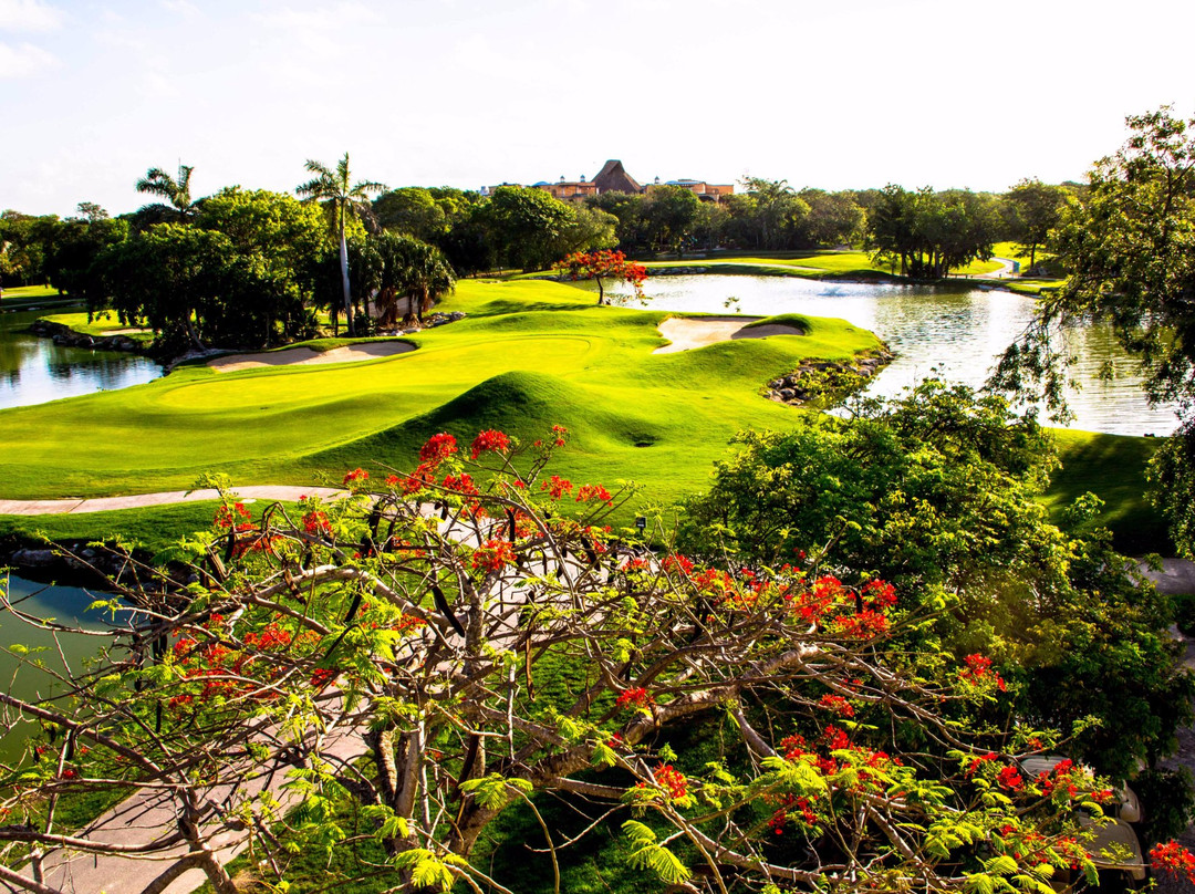 Hard Rock Golf Club Riviera Maya-普拉亚德尔卡曼必去景点
