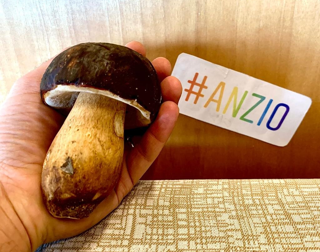 La Locanda dell'Orso Rosa