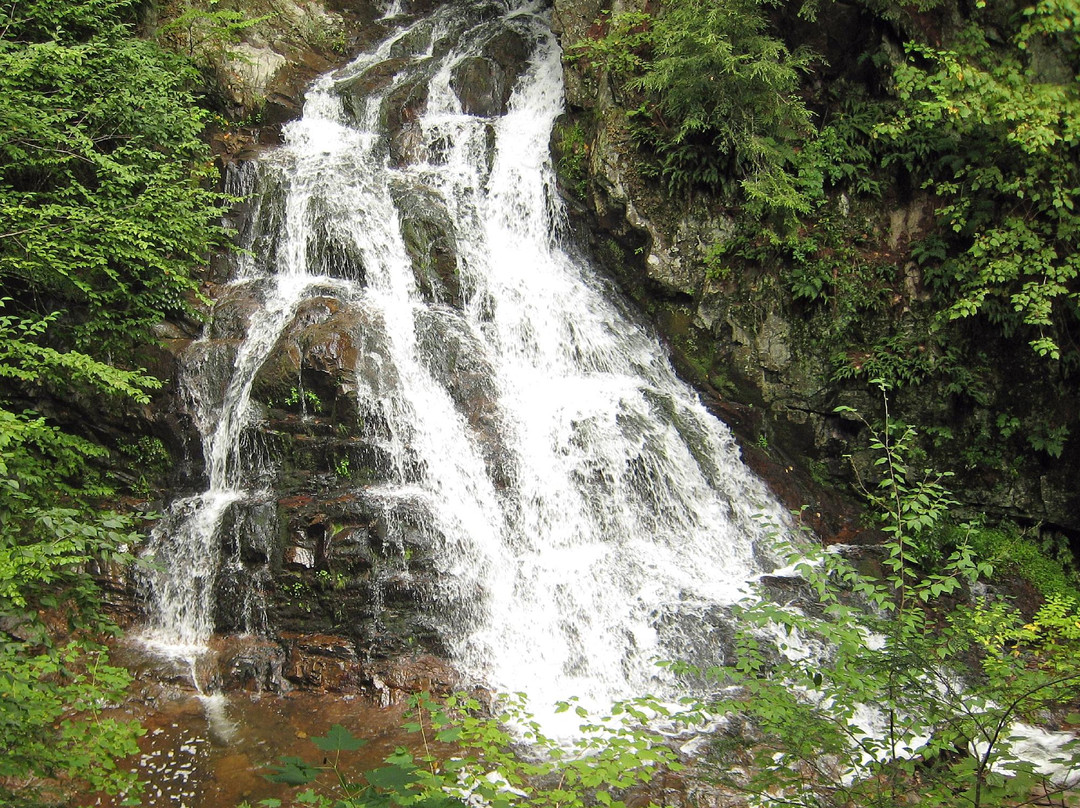 Moultonborough旅游攻略图片