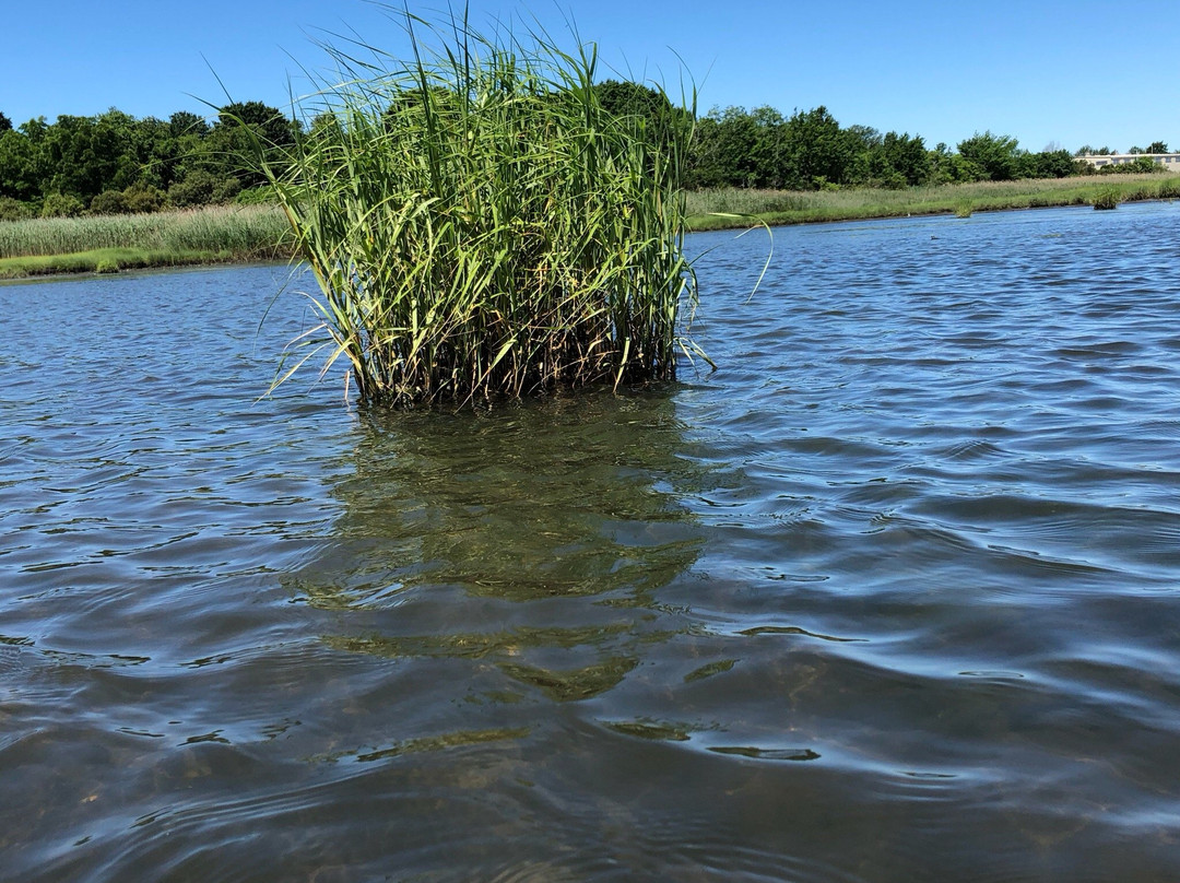 Portsmouth旅游攻略图片