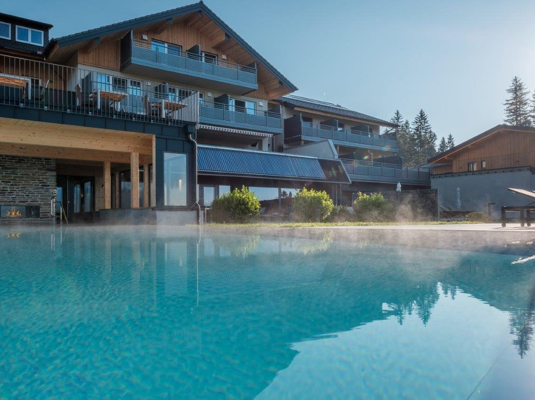 PANORAMA Allgäu-Spa-Resort主图