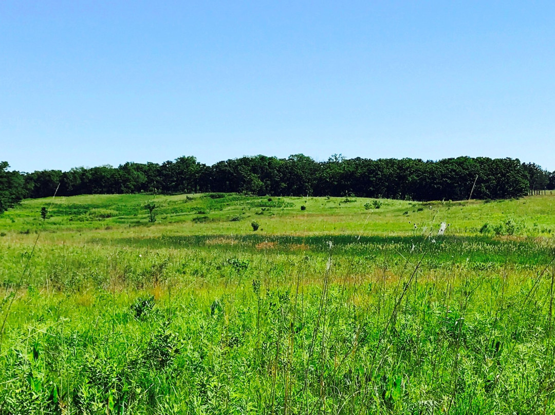 Woodstock旅游攻略图片