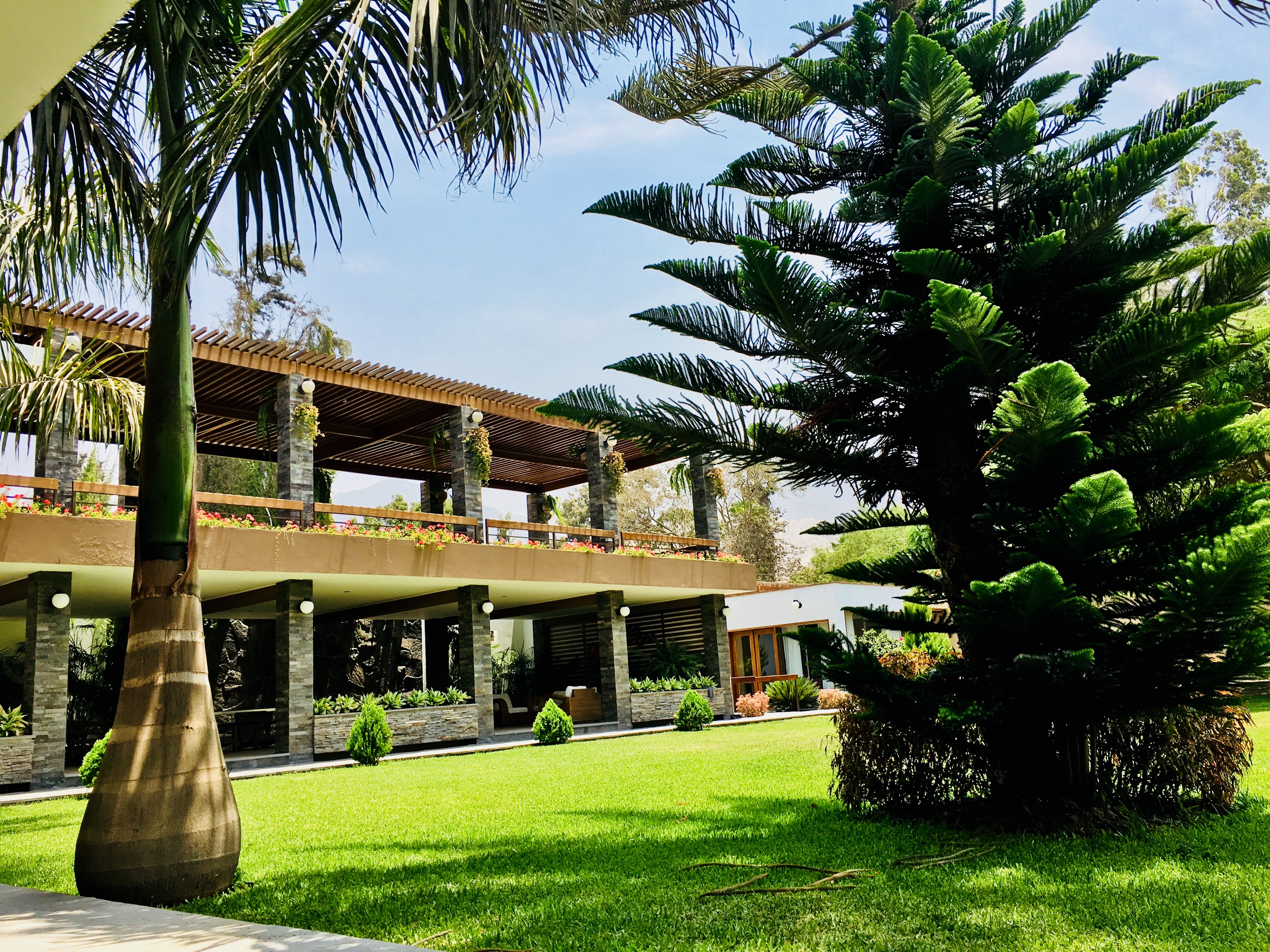 Hotel Campo y Fogata-餐饮