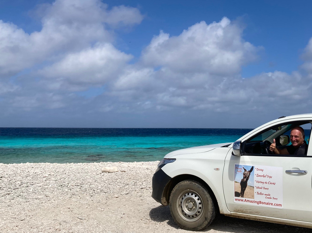 Amazing Bonaire