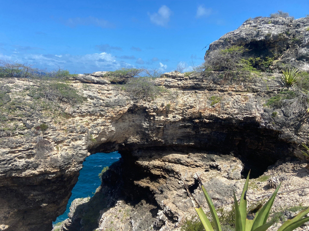 Antigua Hiking And Snorkeling Tours-圣 约翰必去景点