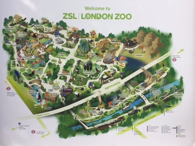 伦敦动物园景点图片
