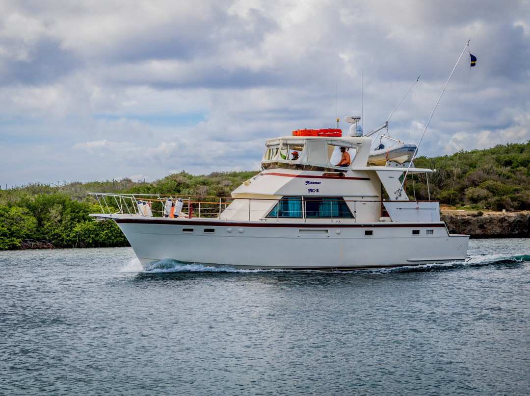 Miramar Boat Trips Curacao景点图片