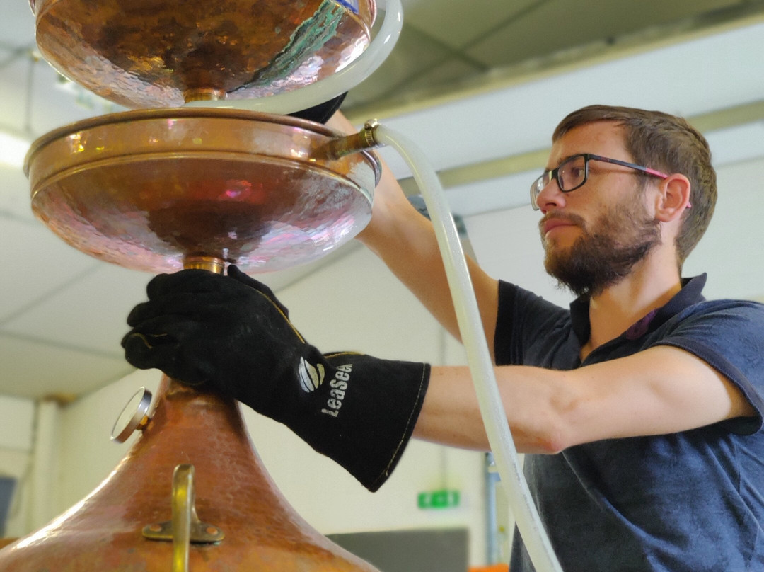 Acigne旅游攻略图片