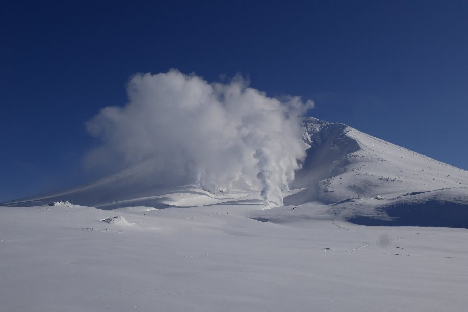 Furano Snow Tours景点图片