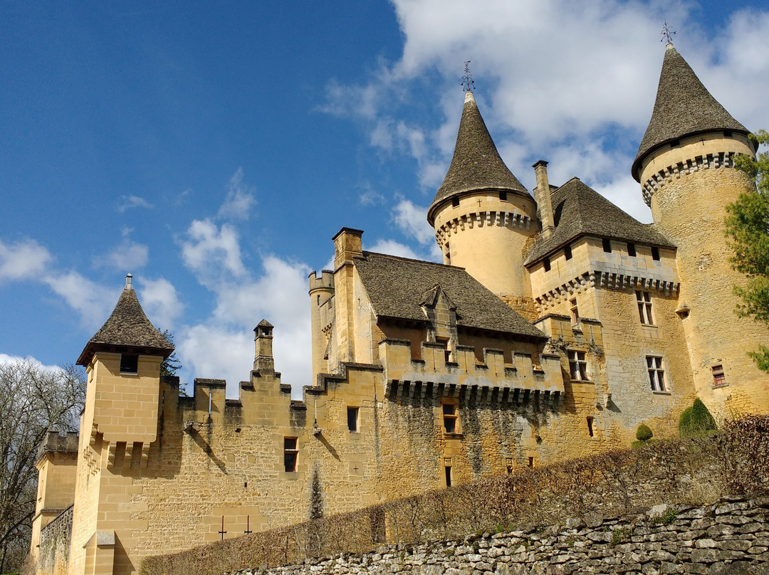 Chateau de Puymartin景点图片