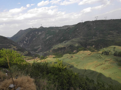 Hong Cheng Restaurant